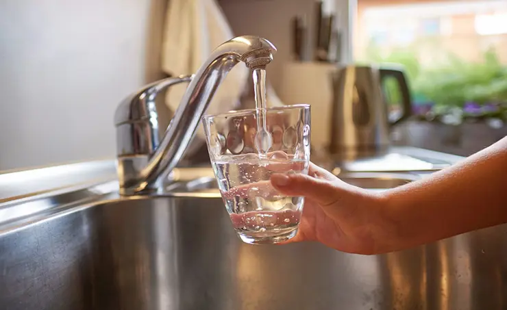 Privilégier la santé face aux denrées alimentaires contaminées aux PFAS