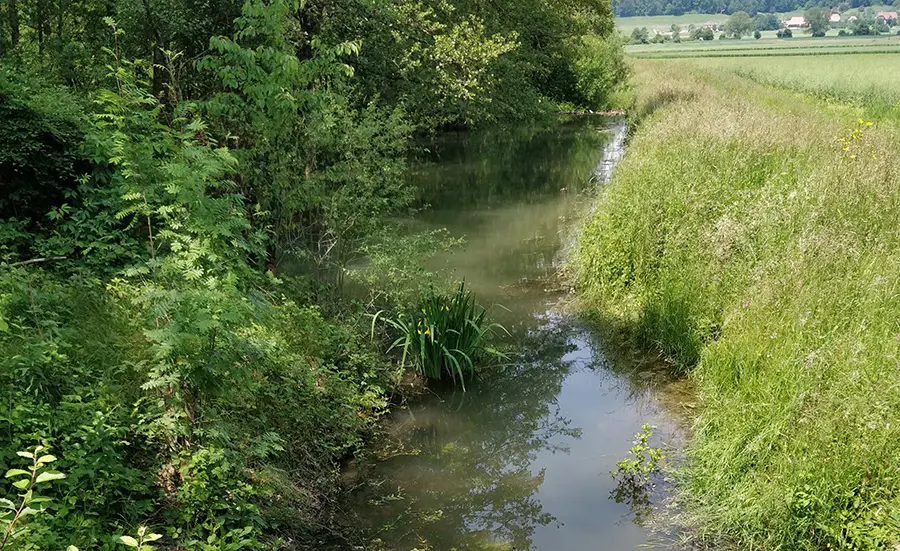 Projet Ressources, Canton de Berne