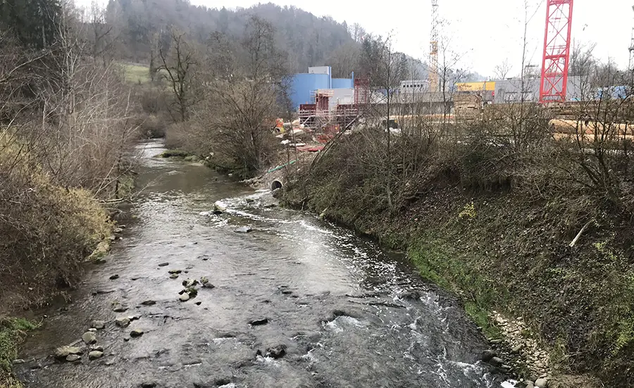 Des vers du sédiment pour étudier l’impact des eaux usées sur la santé des cours d’eau